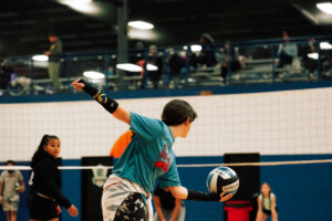 High Velocity Sports Volley Ball 2 Fowling